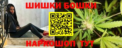 гидра Будённовск