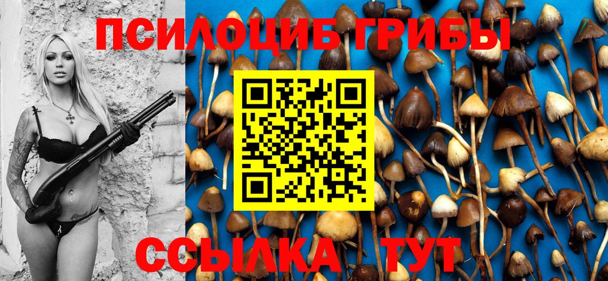 Костомукша  Галлюциногенные грибы MAGIC MUSHROOMS  Вход с VPN  Псилоцибиновые грибы GOLDEN TEACHER 