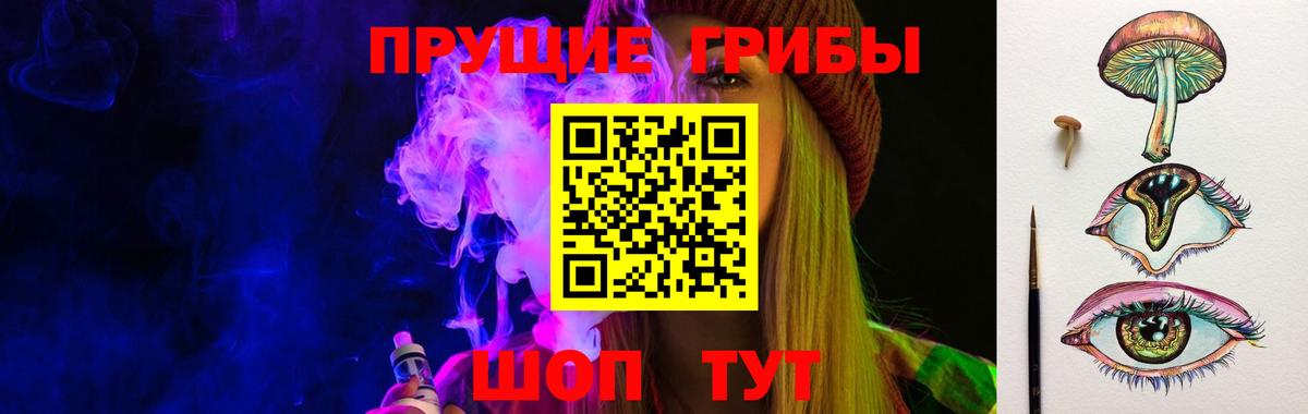 Псилоцибиновые грибы Cubensis Костомукша